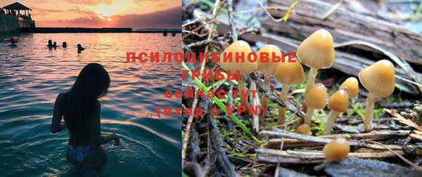стаф Алексеевка
