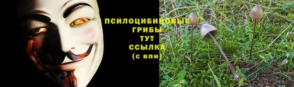 стаф Алексеевка