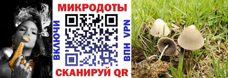 Галлюциногенные грибы мухоморы  Соликамск 